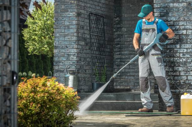 Best Soft Washing for Delicate Surfaces in Newport, DE
